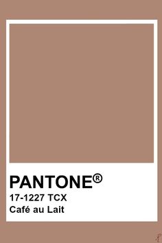 pantone's coffee brown color is shown in the frame with white border on top