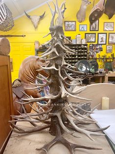 an antler's head is placed on top of a table in a shop