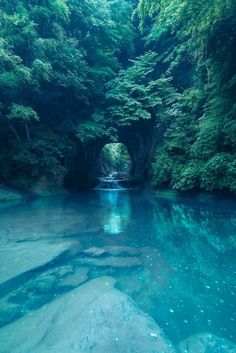 the water is very blue and clear in this area with trees on either side of it