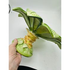 a person holding up a flower that has been cut in half