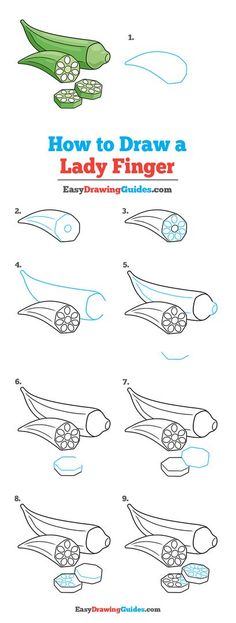 how to draw a lady finger step by step instructions for children and adults with pictures