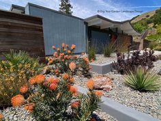 an outdoor garden with rocks and plants in front of a house on a hill side