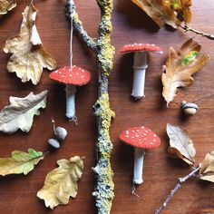 mushrooms, leaves and acorns are arranged on a wooden surface with autumn colors