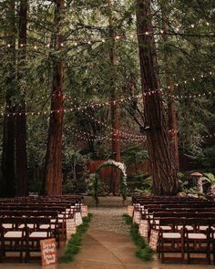 wedding chappel
decoration Planning Wedding, Outdoor Reception, Forest Theme