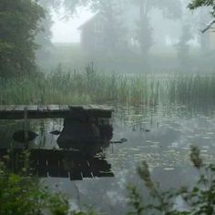 a dock in the middle of a pond with water lillies and trees around it