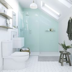 a bathroom with a skylight, toilet and shower