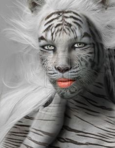 a white tiger with long hair and blue eyes is posing for the camera in front of a gray background