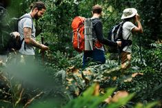 three men with backpacks are walking through the jungle