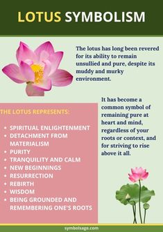 Lotus Flower Color Meaning, Lotus Flower Symbolism, Flower Definitions, Lotus Flower Colors, Lotus Flower Meaning, Small Wave Tattoo, Zen Symbol, Lotus Flower Logo, The Lotus Flower