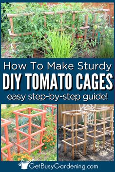 boxed off tomato cages creating a vertical structure for tomato plants Diy Tomato Support, Tomato Cages Diy, Tomato Cage Ideas, Tomatoe Cage, Diy Tomato Cage, Cottage Garden Plan, Tomato Support, Saving Earth