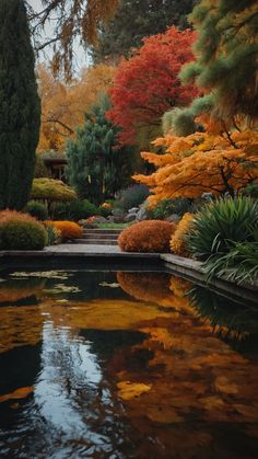 a pond surrounded by colorful trees and plants