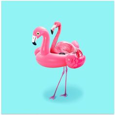 a pink flamingo standing on its legs in front of a blue background with an orange beak