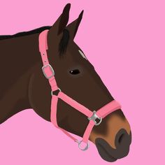 a brown horse wearing a pink bridle on a pink background