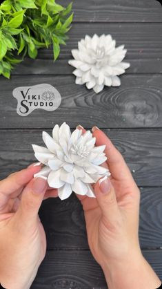 a person holding a white flower in front of some fake flowers on a wooden table