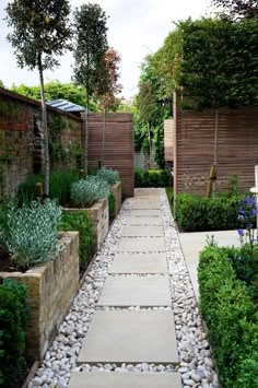 an outdoor garden with stone walkways and plants