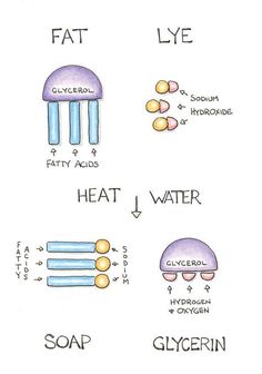 the diagram shows different types of soaps and how they are used to make them