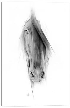 a black and white drawing of a horse's head