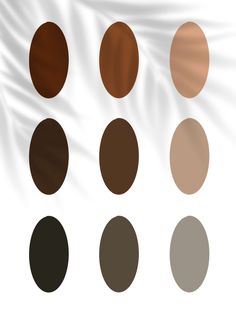 an image of different shades of brown