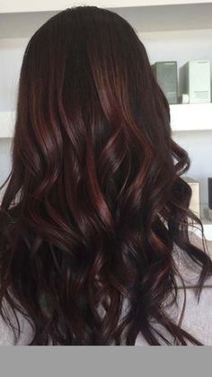 Hint of Auburn in dark hair Chocolate Makeup, Hair Color Brown Chestnut, Chocolate Brown Hair Color Ideas, Dark Chocolate Brown Hair, Chestnut Brown Hair, Rambut Brunette, Golden Brown Hair, Brown Hair Color Ideas