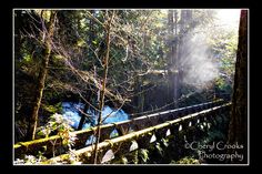 a bridge in the middle of a forest with water coming out of it's sides