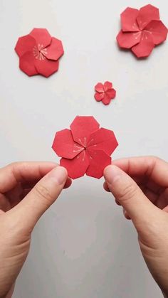 two hands are holding red paper flowers in front of the white background with three petals