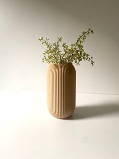 a plant in a ceramic vase on a white surface with light reflection from the wall