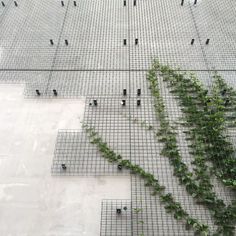 several green plants growing on the side of a metal grate with holes in it