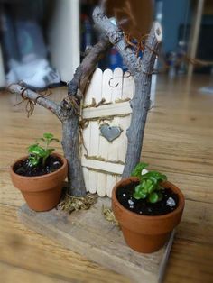 two potted plants sitting next to each other on top of a wooden floor covered in dirt