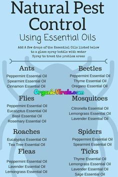 Oregano Essential Oil, Thyme Essential Oil, Spearmint Essential Oil, Inspiration Nature, Cinnamon Essential Oil, Natural Pest Control