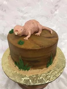 a cake with an animal sitting on top of it