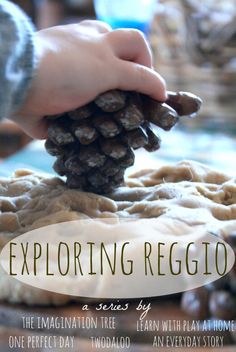 a close up of a person holding a pine cone with the words exploring recipe on it