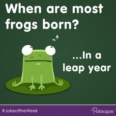 a green frog sitting on top of a leaf with the caption when are most frogs born? in a leap year