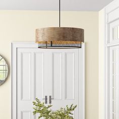 a potted plant sitting on top of a wooden table next to a white door