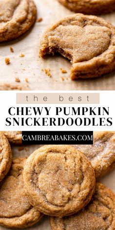 the best chewy pumpkin snickkerdoodle cookies