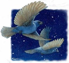 two blue birds flying through the air with stars in the sky behind them on a night sky background