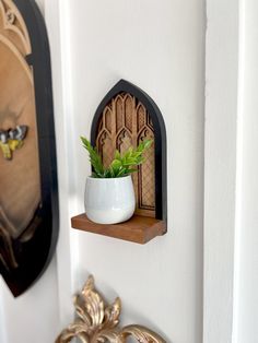 a potted plant sitting on top of a wooden shelf next to a wall mounted clock