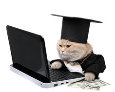 a cat sitting on top of a laptop computer wearing a graduation cap and holding money