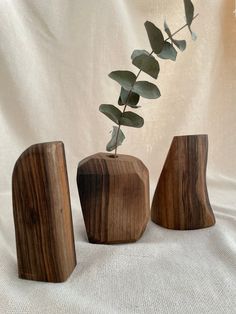 three wooden vases with plants in them