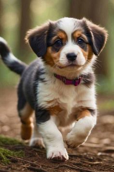 Playful puppy with a pink collar running through a forest.