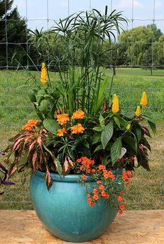 a large potted plant sitting on top of a wooden table next to a fence