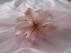 a pink flower is laying on a white sheet