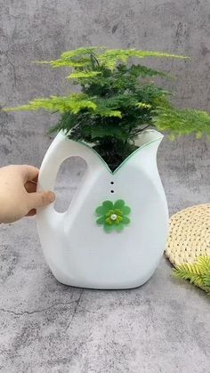 a white vase with a green plant in it