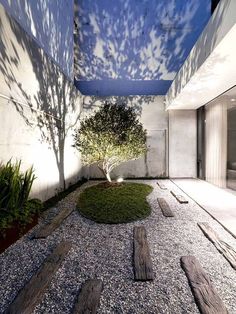 an outdoor area with rocks, grass and a tree in the center is lit by sunlight