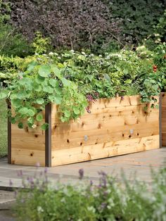 a wooden planter filled with lots of plants