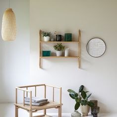 a white room with some plants and books on the shelf above it is a small wooden bench