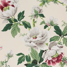 a floral wallpaper with white flowers and green leaves