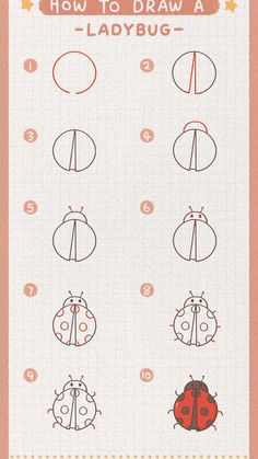 how to draw a ladybug step - by - step instructions for beginners