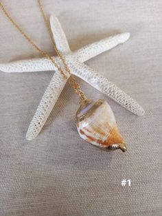 Gold Plated Shell Gold Shell Jewelry Gold Shell Necklace Gold Sea Shell Necklace Gold Shell Charm Necklace Beach Necklace Shell Jewelry Beautiful gold shell necklace made with a gold plated seashell charm with a gold filled chain. This necklace makes a unique gift for a beach lover or someone special in your life. Please choose shell necklace from drop down menu. Each item is carefully packaged in a beautiful jewellery box ready as a gift. If you would like to add a personalized note with your o Gold Coastal Necklace For Vacation, Coastal Style Gold Necklace For Vacation, Ocean-inspired Gold Necklaces For Vacation, Beachy Gold Necklaces For Vacation, Ocean-inspired Gold Charm Necklaces For Summer, Gold Ocean-inspired Charm Necklaces For Summer, Gold Coastal Shell Necklace For Vacation, Summer Gold Shell Necklaces, Summer Gold Shell Necklace