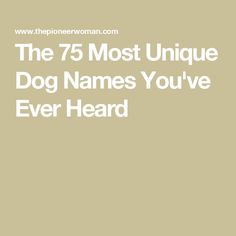 the 75 most unique dog names you've ever heard