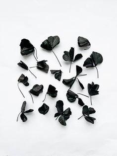 black leaves are arranged on a white surface